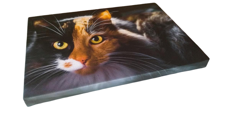 Tisk na Platno – Umetnost iz Vaših Fotografij | Promovertum