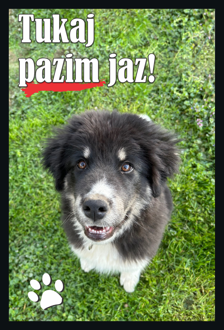 Tabla - tukaj pazim jaz