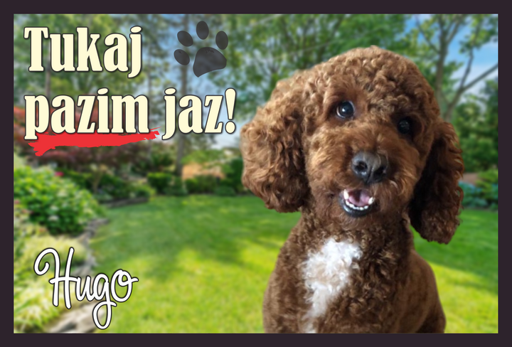 Tabla - tukaj pazim jaz