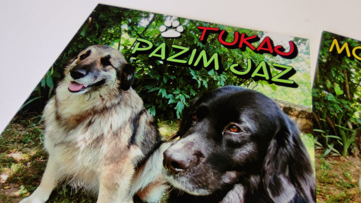 Moj dom - moja pravila