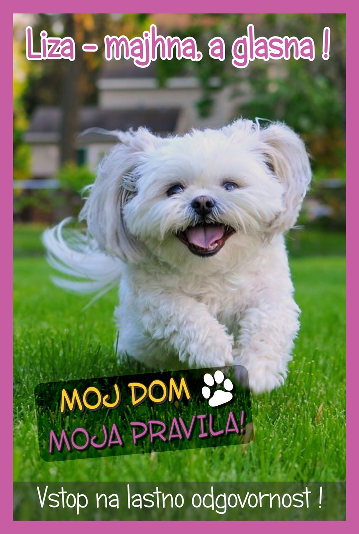 Majhen a glasen - tablica s tekstom po želji