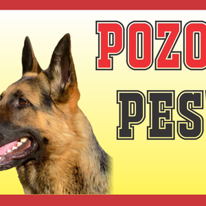 Opozorilna tabla Pozor pes!
