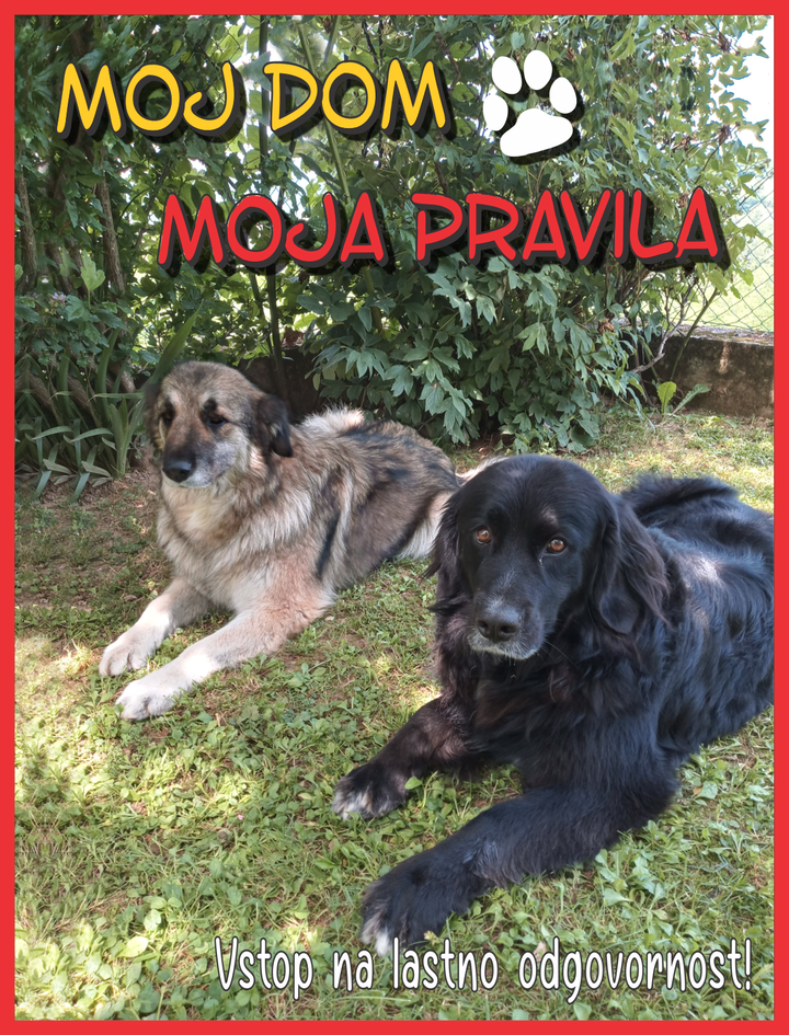 Moj dom - moja pravila