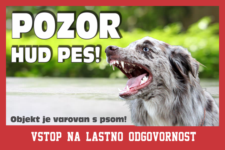 Zelo hud pes!
