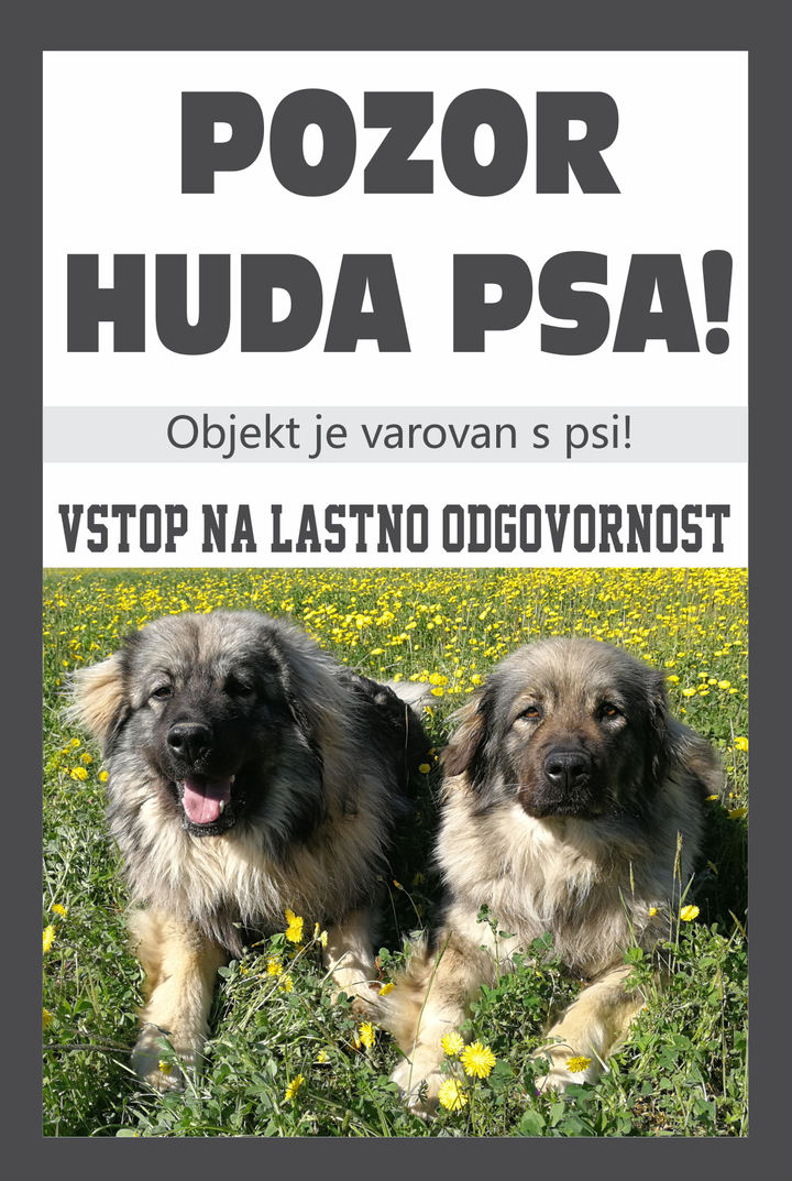 Pozor huda psa!