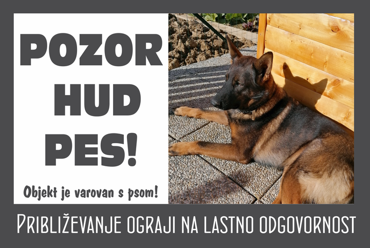 Opozorilna tabla Pozor hud pes!