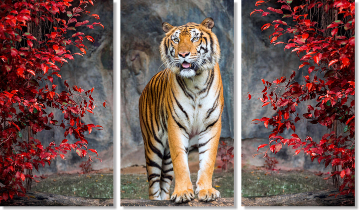 Tisk na platno - SET 3 slik - širina od 120 do 165 cm