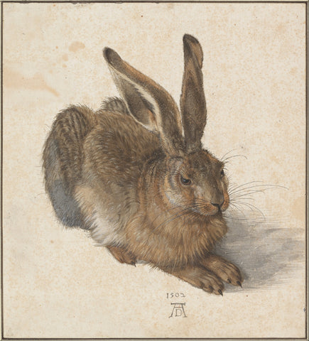 Albrecht Dürer - Mladi Zajec (tisk na platno)