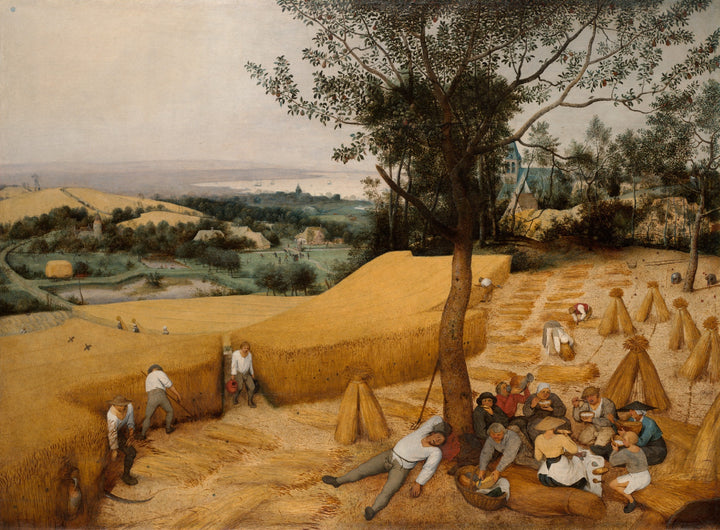 Pieter Bruegel - Žanjci (tisk na platno)