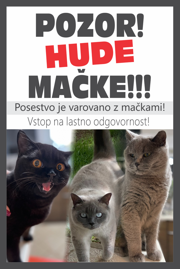 Pozor! Hude mačke!!!