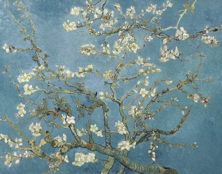 Vincent van Gogh - Cvetoči mandelj (tisk na platno)