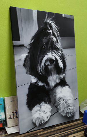 Črno beli pes natisnjen na canvas platno |Promovertum