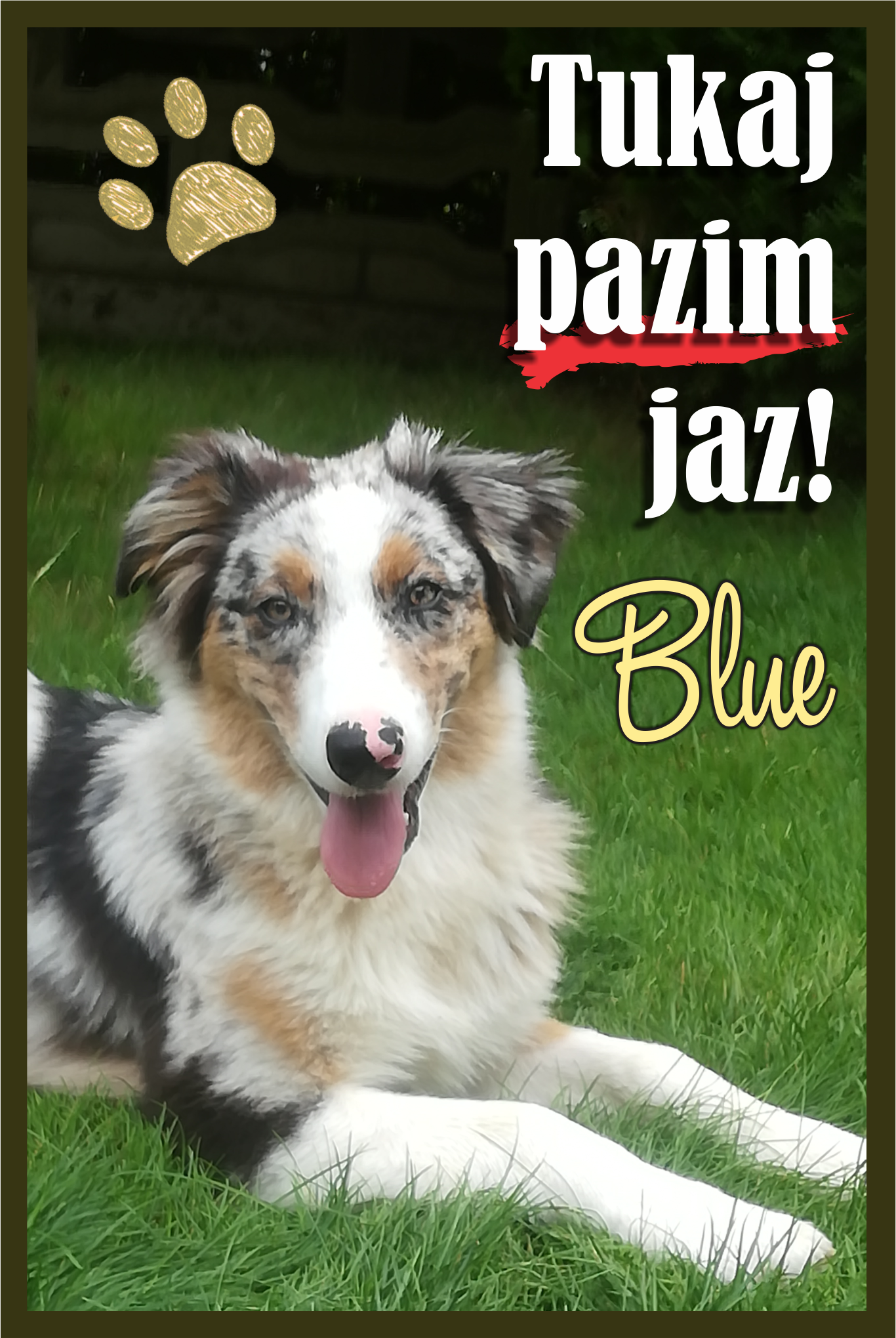 Tabla - tukaj pazim jaz