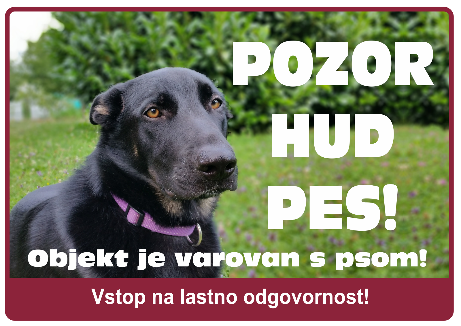 Doberman - pozorilna tabla Pozor hud pes!