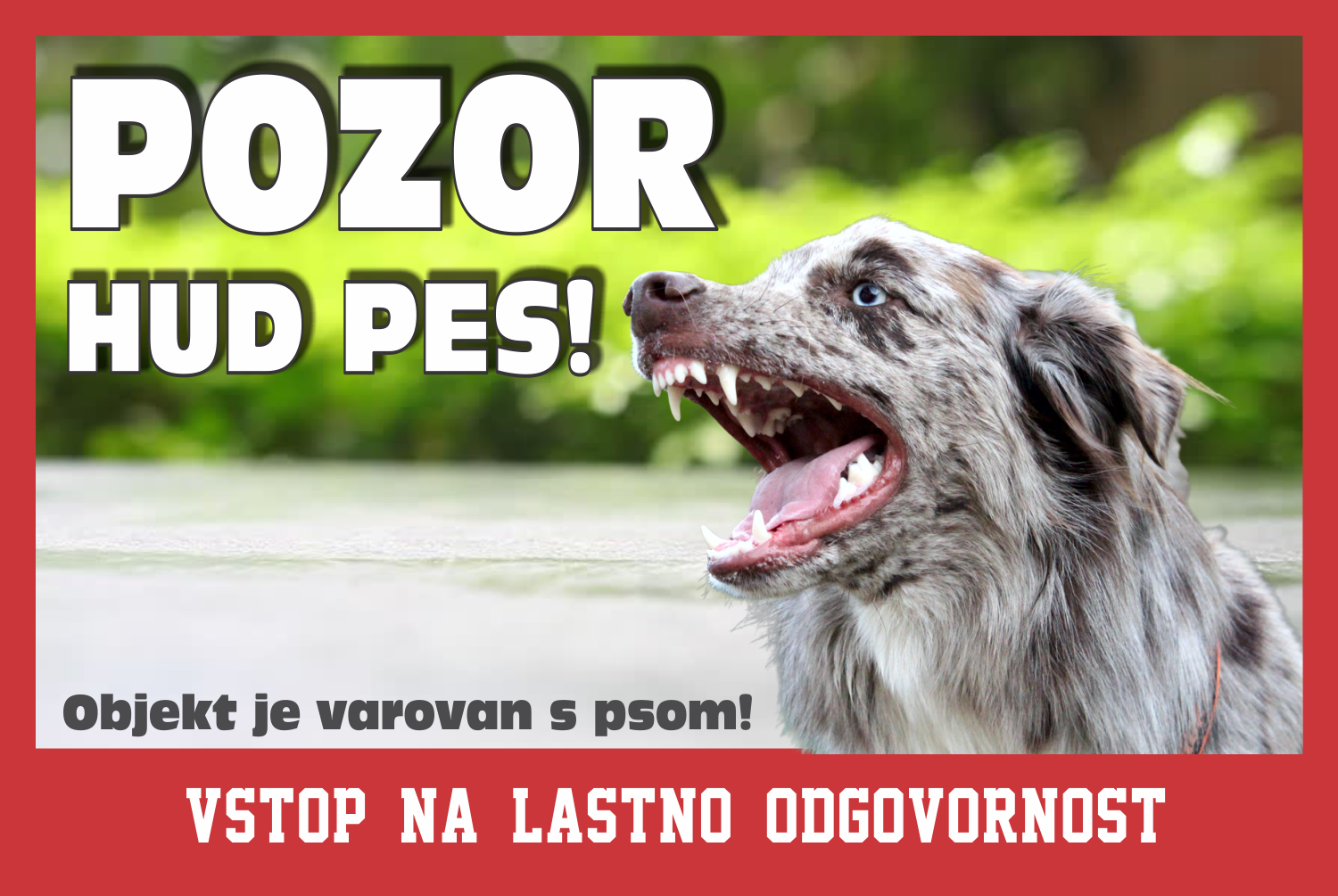 Doberman - pozorilna tabla Pozor hud pes!