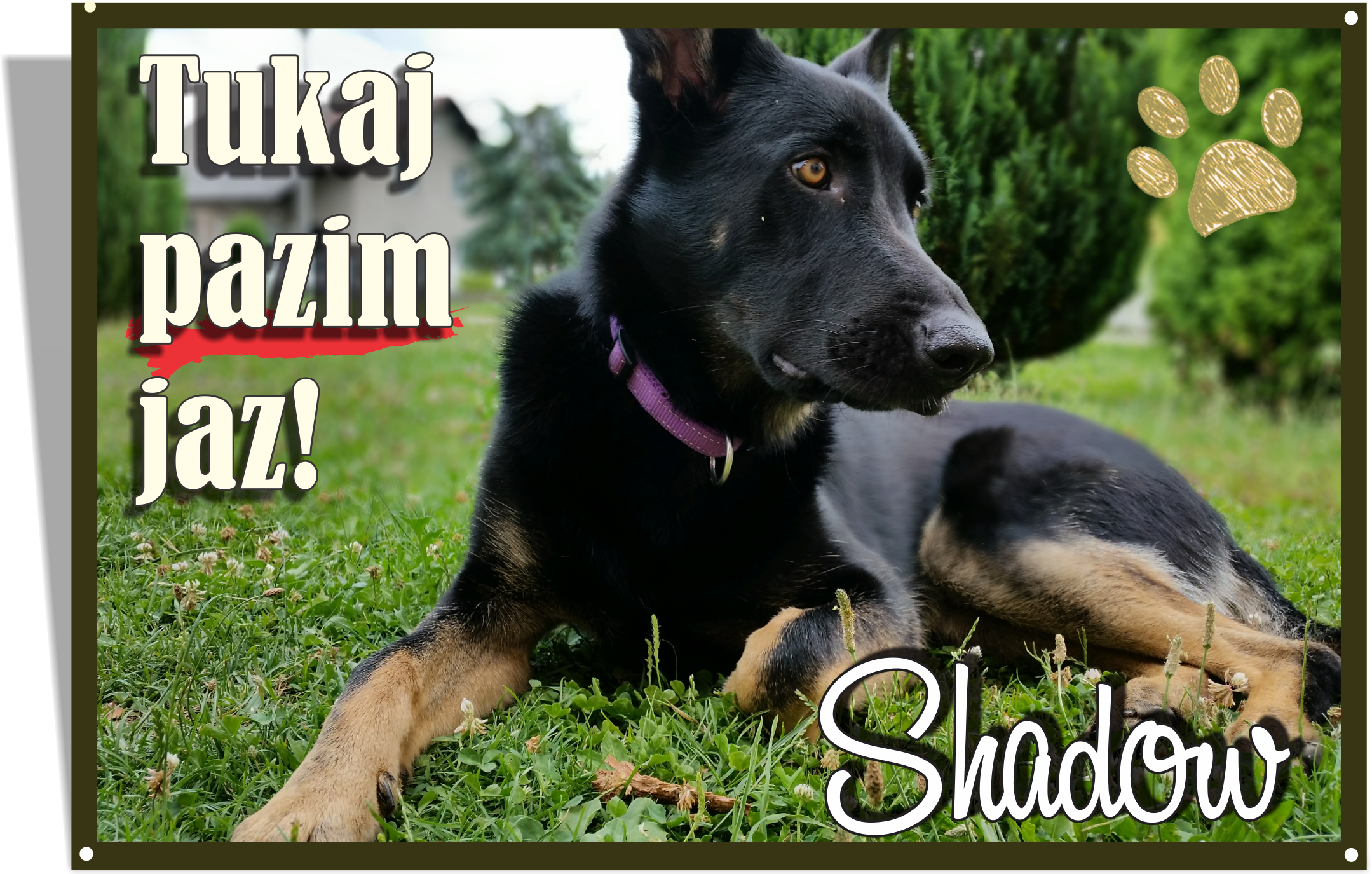 Tabla - tukaj pazim jaz